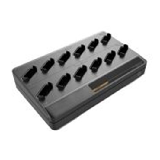 12-bay charger